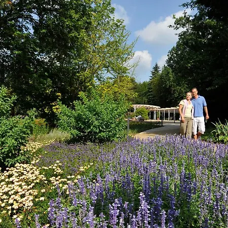 Hotel Vitalhotel Ascona 4*