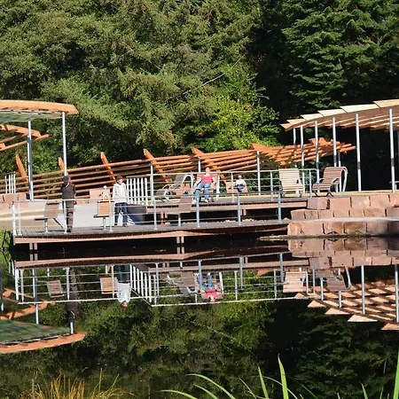 Hotel Vitalhotel Ascona Bad Bevensen