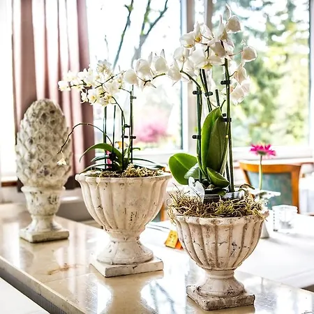 Vitalhotel Ascona Hotel Bad Bevensen