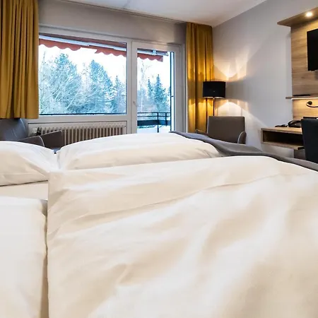 Hotel Vitalhotel Ascona 4*