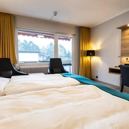 Hotel Vitalhotel Ascona