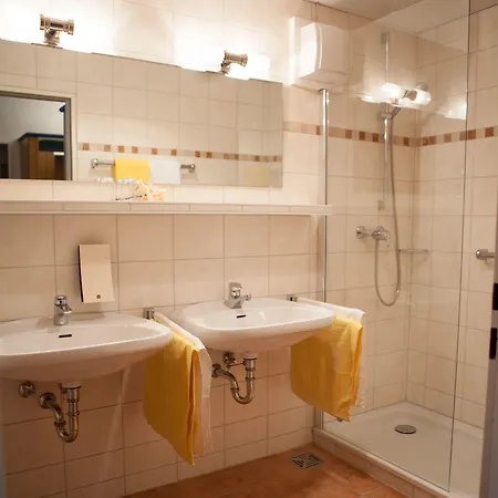 Vitalhotel Ascona 4*