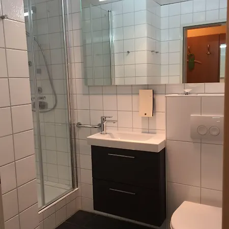 Hotel Vitalhotel Ascona 4*