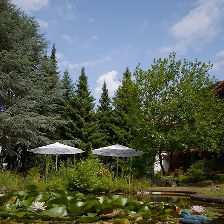 Vitalhotel Ascona Hotel 4*