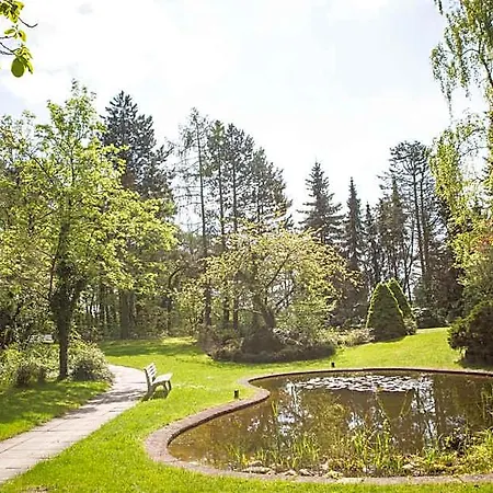 Hotel Vitalhotel Ascona