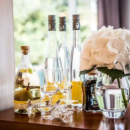Vitalhotel Ascona Bad Bevensen