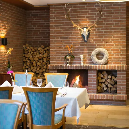 Vitalhotel Ascona Hotel